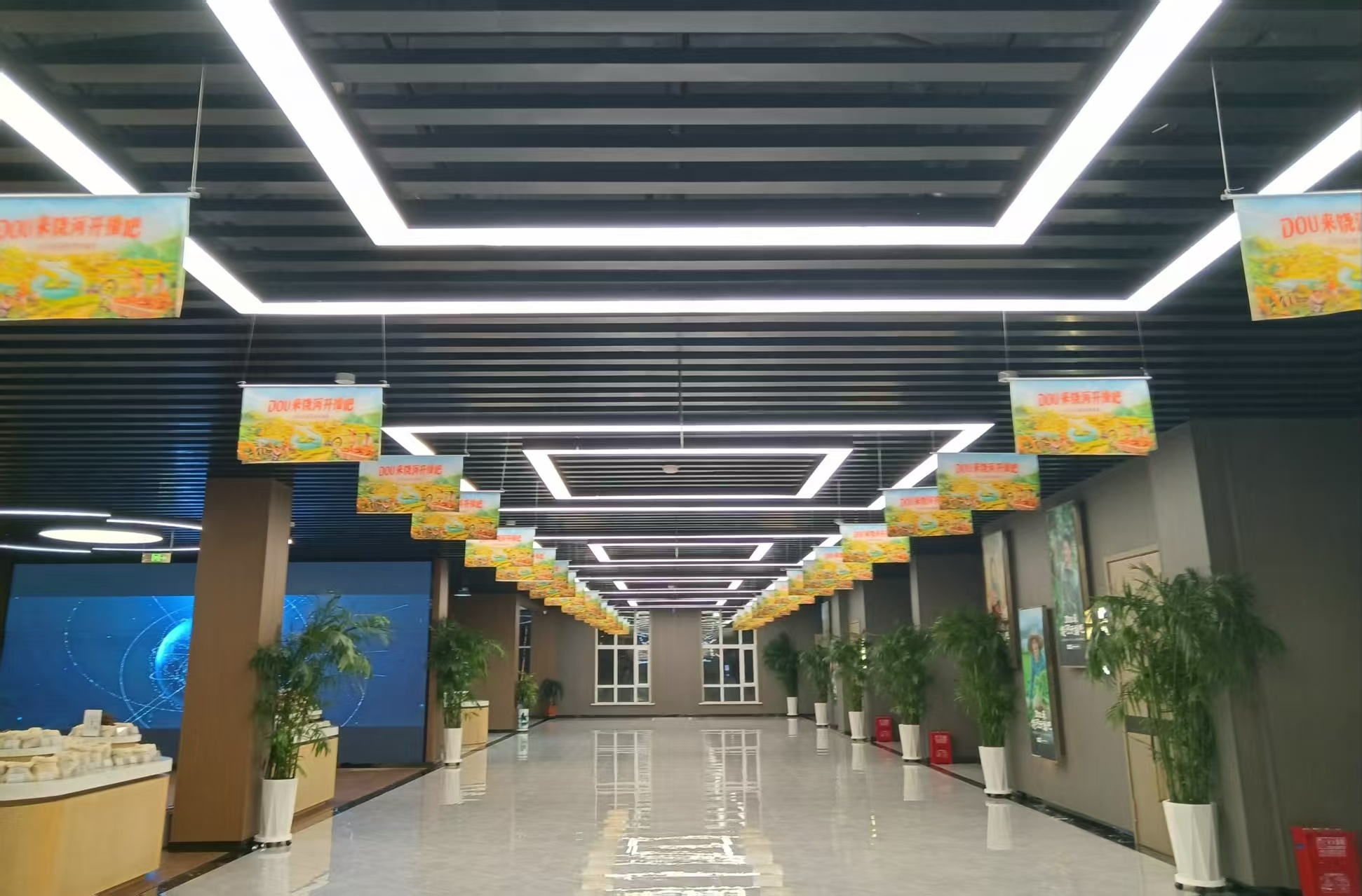 高质量发展看中国|从直播间到产业带 电商撬动饶河边城经济